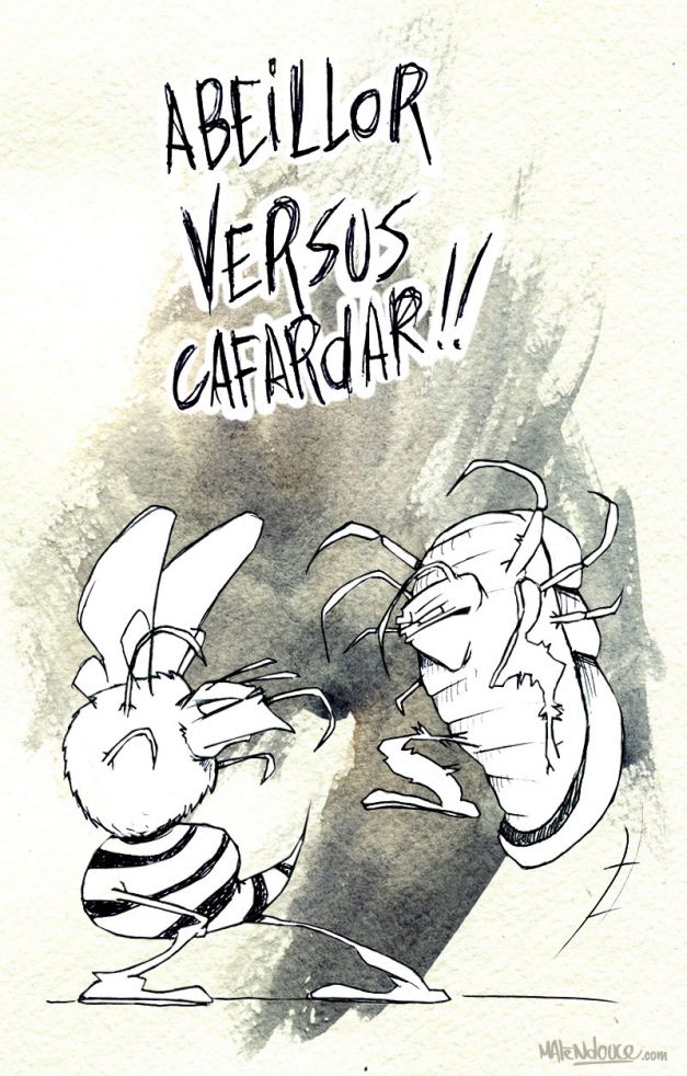 Abeille versus cafard